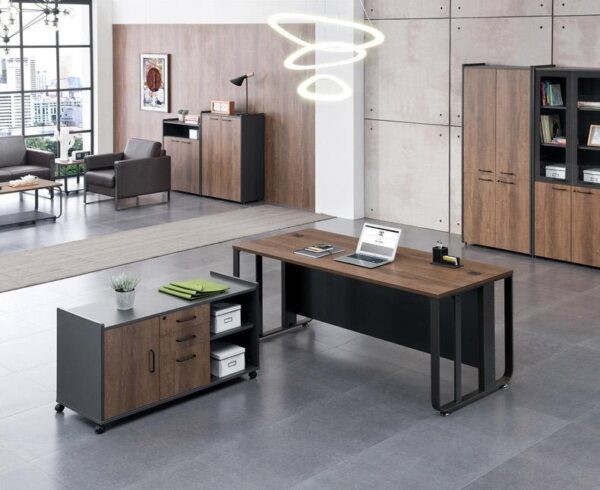 Executive Fabule Office Desk