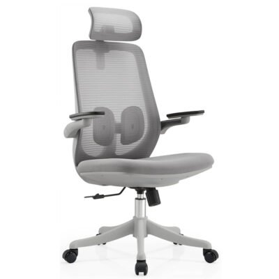 Grey Ergonomic Executive Office Chair with Lumbar Support, Adjustable Height & Swivel Base