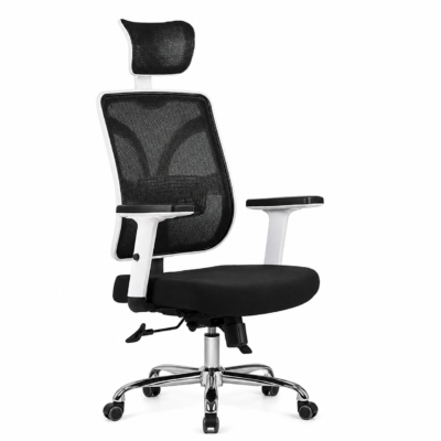 Neo Executive Ergonomic Office Chair – Adjustable Mesh Chair with Lumbar Support (Black & White)