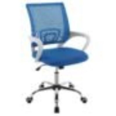 Adjustable Ergonomic Mesh Youth Chair – Blue and White