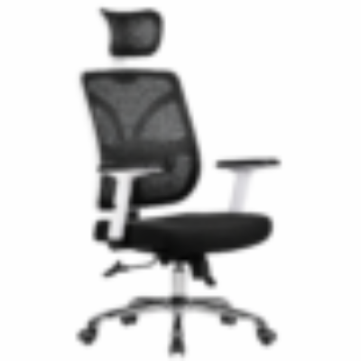 Neo Executive Ergonomic Office Chair – Adjustable Mesh Chair with Lumbar Support (Black & White)