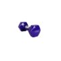 12lb Vinyl-Coated Hex Dumbbell – Purple