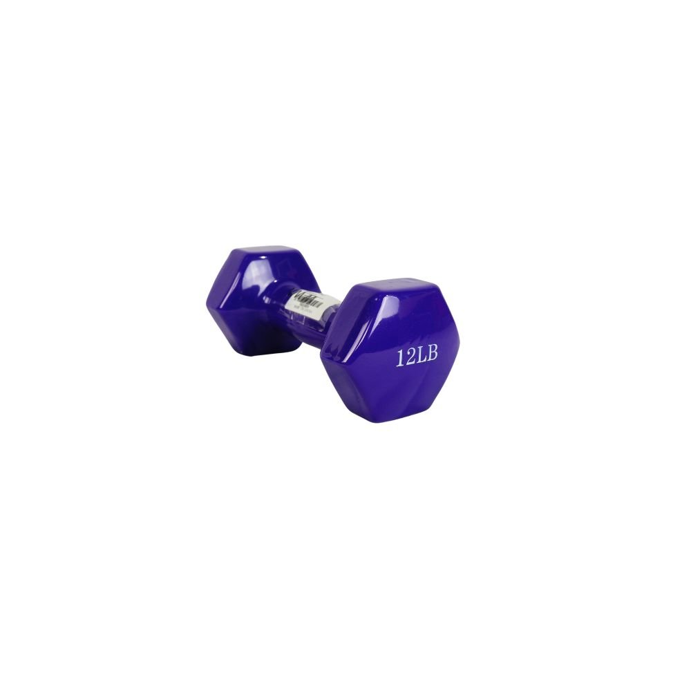 12lb Vinyl-Coated Hex Dumbbell – Purple at Shopro Trinidad